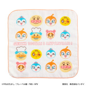 Ap} ~j^I K[[ { 100 25×25cm ΂܂ hL RL ___ z[} ӂӂ ct ۈ牀  w j̎q ̎q ^I 