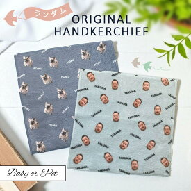P8 写真入り ハンカチ《ランダム》(うちの子 名入れハンカチ オリジナルタオル 名入れタオル 赤ちゃん 子ども ペット 記念品 思い出 オリジナル フルカラー プリント 印刷 写真プリント 写真 お祝い 贈り物 ギフト 誕生日 犬 猫)