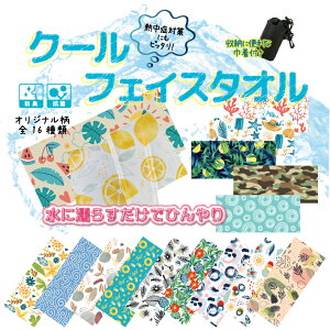 S17 N[ ^IsIWit(tFCX^I ⊴^I p ⊴ N[ Ђ ACX^I  lbNN[[ MǑ΍ ΍ ЂObY X|[c  AEghA 