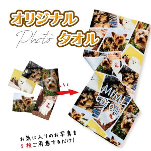 P14 ʐ^   tJ[ tHg^I(tFCX^I ^I vg^I Ԃ qǂ ybg Ƒ LOi LO vo IWi tJ[ vg  ʐ^v