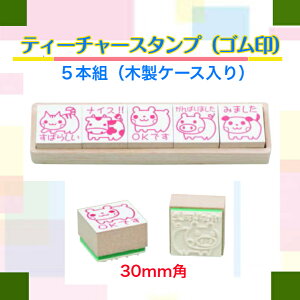 Tr[ eB[`[X^vS(5{g)30mmp(ؐP[XCXg搶X^v@]@tpقуX^v@ۈ牀ctij