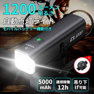 ] Cg 1200[ 5000mAhe _/ Rt [hoCN Cg USB-C[d 邢 NXoCN Cg oCobe[@\ ԑs Px IPX6h nk΍
