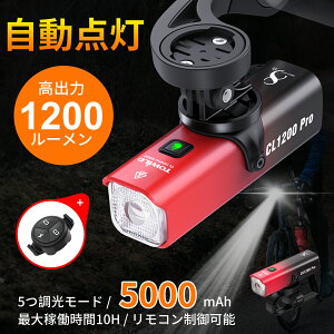 yRt 5000mAheʁz ] Cg [hoCN Cg 1200[ USB-C[d _/ NXoCN Cg LED d Px IPX6h hU ԑs dΉ nk΍ 