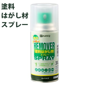 񉖑fnh͂ Xv[300ml@JynsI