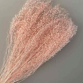 インテリア雑貨 翠扇 永遠の花 DIY 素材 植物 フレーム ホームデコレーション 翠扇 グリーン(x5)