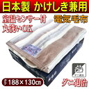 【送料無料】電気毛布 掛敷毛布 電気掛け毛布 掛敷き かけしき 洗える ダニ退治【RCP】電気かけしき毛布 電気毛布(かけしき)