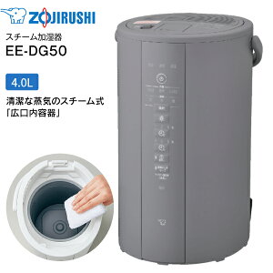 象印 ZOJIRUSHI スチーム式加湿器 水タンク一体型 13(8)畳用 4リットル 4L 広口容器【RCP】　グレー