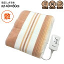 電気敷き毛布 電気毛布 電気しき毛布 電気敷毛布 洗濯OK 洗える毛布 ダニ退治機能 シングル【RCP】 電気しき毛布