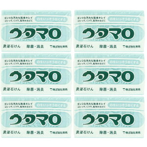 y6܂ƂߔzE^}΂@×6