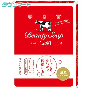 JEuh@Ԕ@Ƒ傫߁@2i125g×2j