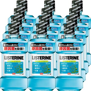 pXeiLISTERINEjN[~g@500ml[򕔊Oi]