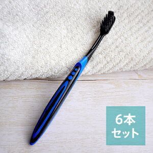 y6܂ƂߔzDENTALPROif^vjubN@ɍזс{傫߃wbh@nuV@ӂiA\[gJ[j@×6