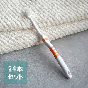 y24{܂ƂߔzDENTALPROif^vjtbVɍזтӂiA\[gJ[j