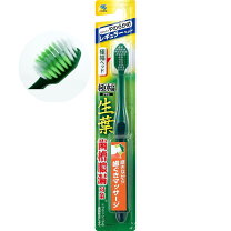 楽天市場】歯ブラシ 緑の通販