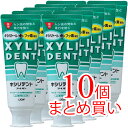 牙刷架／牙膏架｜キシリデントライオン 120g[医薬部外品]