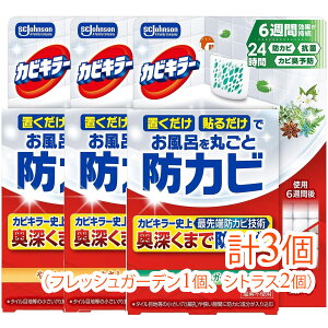 カビキラー 置くだけ防カビ 詰め替え」の人気商品一覧・価格比較 