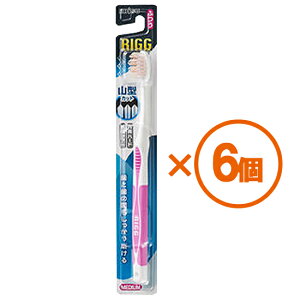 ySALEzy6܂ƂߔzRIGG(O)@R^nuV@ӂ@@iA\[gJ[j@×6