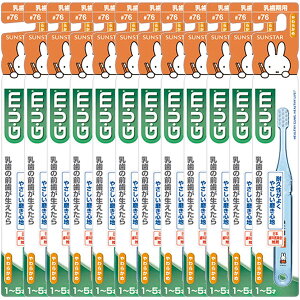 y12܂ƂߔziGUMjK@f^uVǂ76mpn炩߁iA\[gJ[j@×12