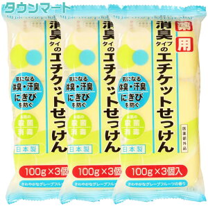 y3܂Ƃߔz}bNX pG`Pbg΂@100g×3@×3