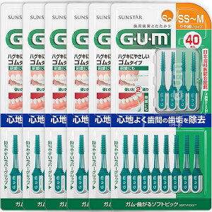 iGUMjKEȂ\tgsbN SS`Miׂ^Cvj