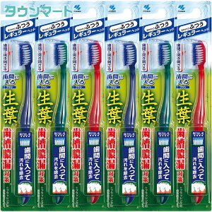 y6܂Ƃߔzt@ԂɓuV@M[@ӂ@×6