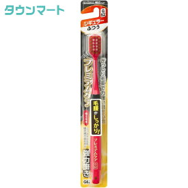 プレミアムケア強力磨き・レギュラー ふつう（強力磨き 高品質 便利）