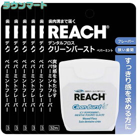 【6個まとめ買い】REACH（リーチ）　デンタルフロス　クリーンバーストPMT　32m　×6個