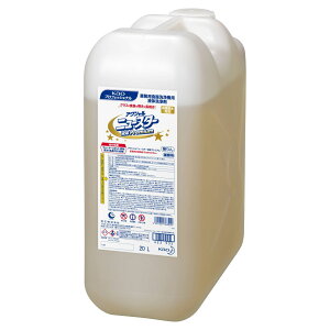 ANV@j[X^[@t̃v~A@20L@Ɩp