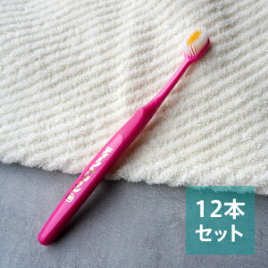 y12{܂ƂߔzfB[vN[ nuV v~A RpNg 炩߁iA\[gJ[j