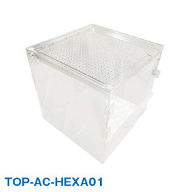 アクリルケージ TOP-AC-HEXA01 TOPCREATE(トップクリエイト) 爬虫類 両生類 全面アクリル 格安 20×20×20サイズ