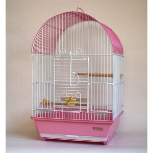  101A[`̂G pXesN HOEI(Lh/z[GC)