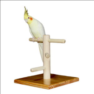 鳥 小動物用ペットグッズ オカメインコの人気商品 通販 価格比較 価格 Com