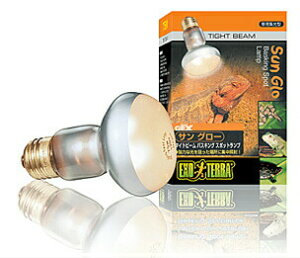 TO[^Cgr[ 75W PT2136 GEX(WFbNX) ঒   M O WƎ Cg d wr gJQ  J