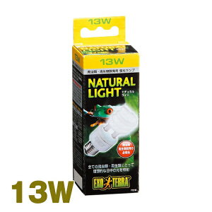 i`Cg 13W PT2190 GEX(WFbNX) ঒  Cg d M WO M UVB gJQ J wr zVK JI q