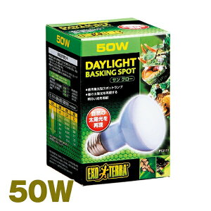 TO[ 50W PT2131 GEXiWFbNXj ঒  A Cg d M  O L p  gJQ J wr JG Ip