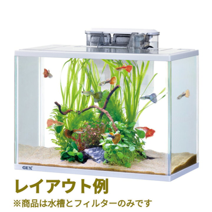 94 以上節約 ジェックス お魚飼育セットm Shipsctc Org 94 以上節約 ジェックス お魚飼育セットm Shipsctc Org