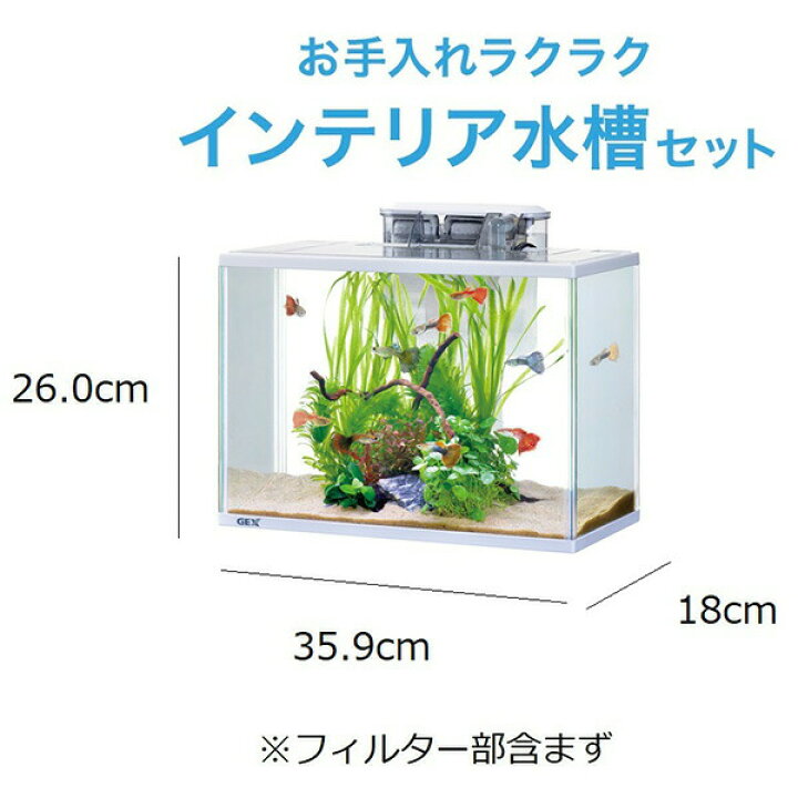 楽天市場 スリムアクア ホワイトセット M Gex ジェックス アクアリウム 水槽 インテリア フィルター 熱帯魚 グッピー ベタ 観賞魚 飼育セット 飼育キット ペットと園芸のホムセントックリ