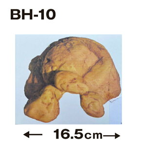 yBH10z঒ VF^[ BƁy16.5x15x7cmzm[uh oNi