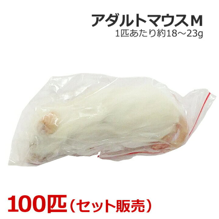楽天市場】冷凍 アダルトマウス Mサイズ 100匹 : ペットと園芸の 