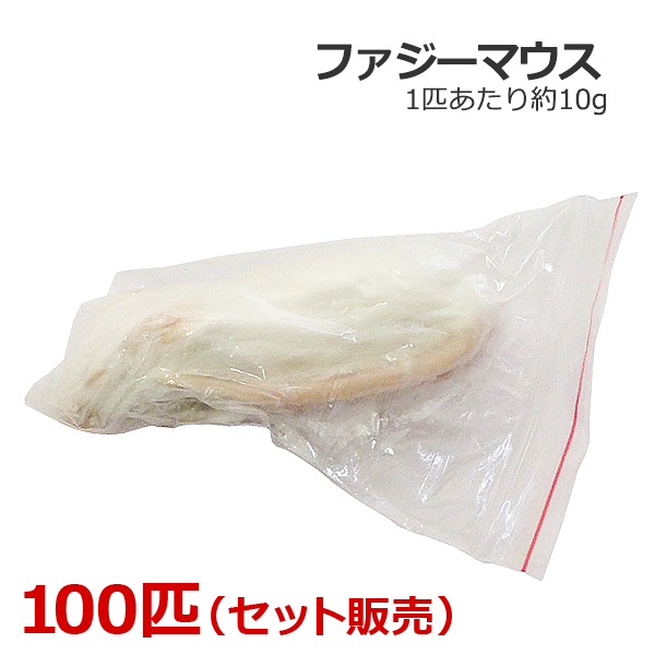 限定特価 冷凍 エサ 100匹 発売モデル ファジーマウス