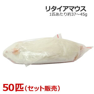 Ⓚ ^CA}EX 50C