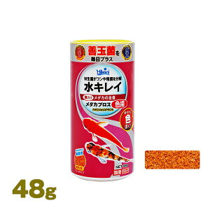 【賞味期限 2023/05/12まで】メダカプロス色揚 48g キョーリン