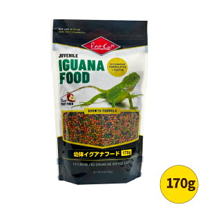 c̃COAit[h170g(RO-404) roA bvJWp ঒ COAi l H iCgAm[ O[COAi