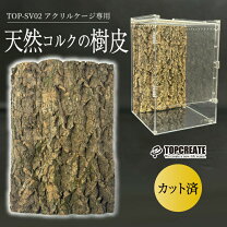楽天市場】コルク 爬虫類の通販