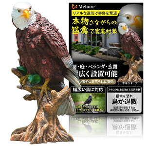 Meliore ���悯 �J���X�悯 ���悯 �y�t�N���E�ȏ�̌���&�J�^�E�������z obge �I�u�W�F �u�� �h �� ���� �^�C�A�b�v �J�^�O�b�Y ������ �x�����_ �� �� ����