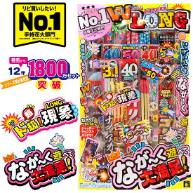 花火 手持ち花火 約48本入 燃焼時間が長い! スーパーダブルロング花火セット LK-LL たっぷり遊べるヒットシリーズ!