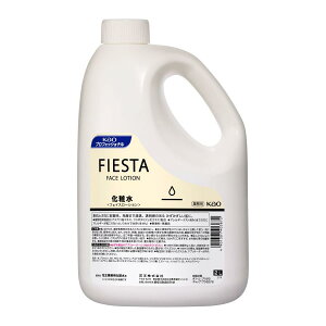 [Pi] FIESTA tFCX[V(ϐ) 2L {p{gt (ԉtBGX^)