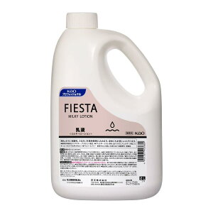 [Pi] FIESTA ~L[[V(t) 2L {p{gt (ԉtBGX^)