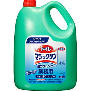 [Pi]ԉ@gC}WbN@̓NU[@ƖpTCY@4D5L