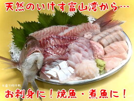 楽天市場 刺身 トビウオの通販